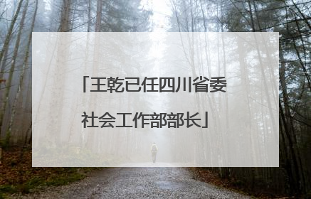 王乾已任四川省委社会工作部部长