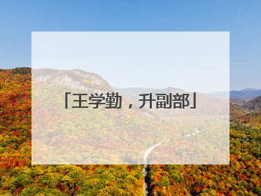 王学勤，升副部