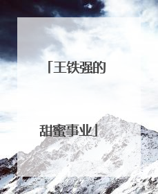 王铁强的甜蜜事业