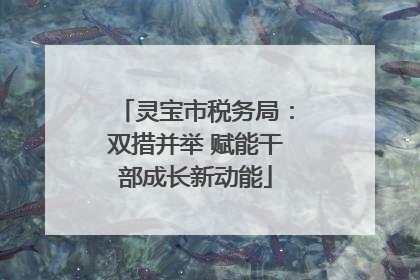 灵宝市税务局：双措并举 赋能干部成长新动能