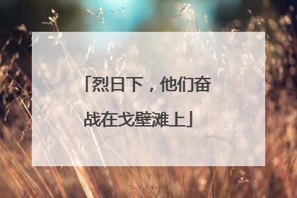 烈日下，他们奋战在戈壁滩上