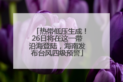 热带低压生成！26日将在这一带沿海登陆，海南发布台风四级预警