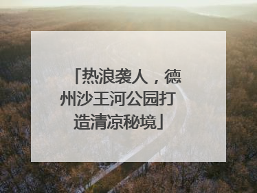 热浪袭人，德州沙王河公园打造清凉秘境