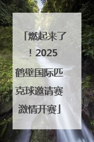 燃起来了！2025鹤壁国际匹克球邀请赛激情开赛