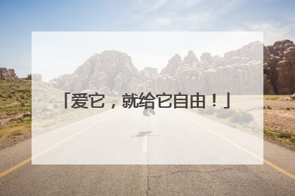 爱它，就给它自由！