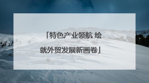特色产业领航 绘就外贸发展新画卷