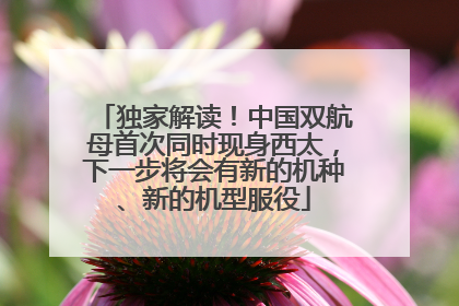 独家解读！中国双航母首次同时现身西太，下一步将会有新的机种、新的机型服役