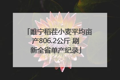 睢宁稻茬小麦平均亩产806.2公斤 刷新全省单产纪录