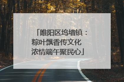 睢阳区坞墙镇：粽叶飘香传文化 浓情端午聚民心