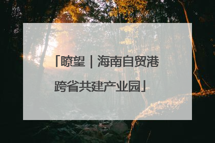 瞭望｜海南自贸港跨省共建产业园