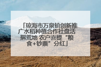 琼海市万泉镇创新推广水稻种植合作社盘活撂荒地 农户喜提“粮食+钞票”分红