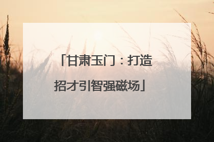 甘肃玉门：打造招才引智强磁场