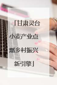 甘肃灵台小麦产业点燃乡村振兴新引擎