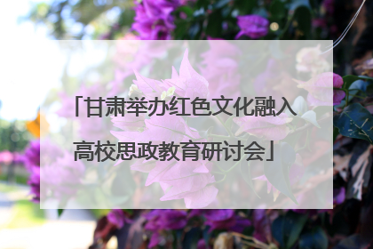 甘肃举办红色文化融入高校思政教育研讨会
