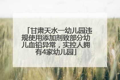 甘肃天水一幼儿园违规使用添加剂致部分幼儿血铅异常，实控人拥有4家幼儿园