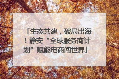 生态共建，破局出海！静安“全球服务商计划”赋能电商闯世界
