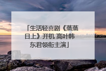 生活轻喜剧《蒸蒸日上》开机 高叶韩东君领衔主演