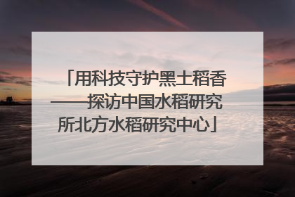 用科技守护黑土稻香——探访中国水稻研究所北方水稻研究中心