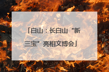 白山：长白山“新三宝”亮相文博会