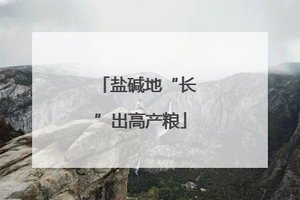 盐碱地“长”出高产粮