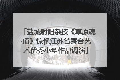 盐城射阳杂技《草原魂·顶》惊艳江苏省舞台艺术优秀小型作品调演