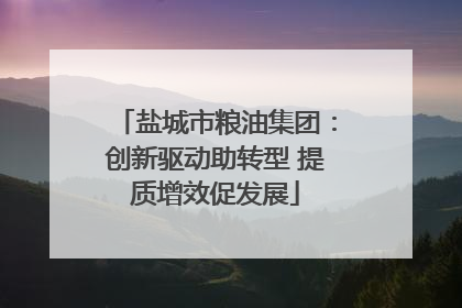 盐城市粮油集团：创新驱动助转型 提质增效促发展