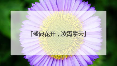 盛夏花开，凌霄攀云