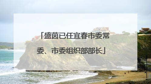 盛茵已任宜春市委常委、市委组织部部长