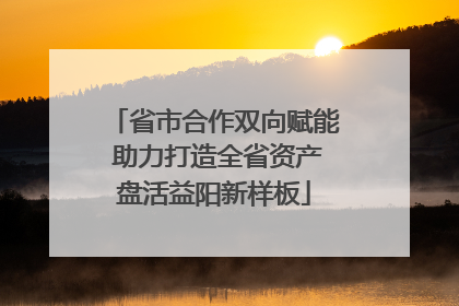 省市合作双向赋能 助力打造全省资产盘活益阳新样板