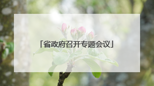 省政府召开专题会议
