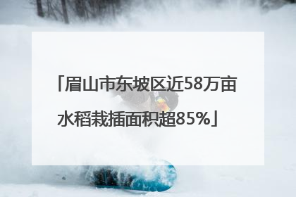 眉山市东坡区近58万亩水稻栽插面积超85%