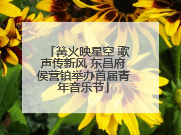 篝火映星空 歌声传新风 东昌府侯营镇举办首届青年音乐节