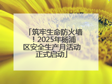 筑牢生命防火墙！2025年杨浦区安全生产月活动正式启动