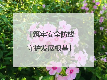 筑牢安全防线 守护发展根基