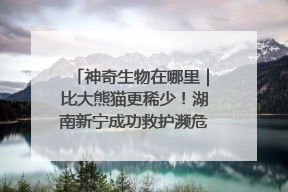 神奇生物在哪里｜比大熊猫更稀少！湖南新宁成功救护濒危鸟类海南鳽