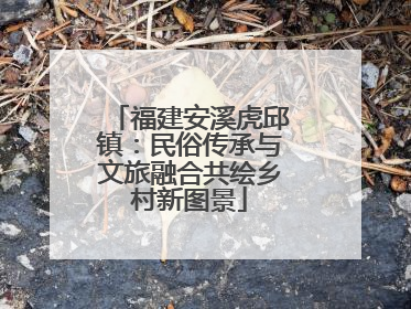 福建安溪虎邱镇：民俗传承与文旅融合共绘乡村新图景