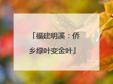 福建明溪：侨乡绿叶变金叶