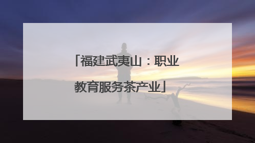 福建武夷山：职业教育服务茶产业