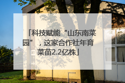 科技赋能“山东南菜园”，这家合作社年育菜苗2.2亿株