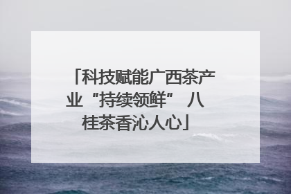 科技赋能广西茶产业“持续领鲜” 八桂茶香沁人心