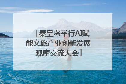秦皇岛举行AI赋能文旅产业创新发展观摩交流大会