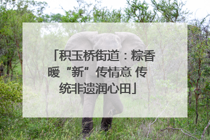 积玉桥街道：粽香暖“新”传情意 传统非遗润心田