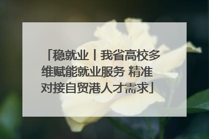 稳就业丨我省高校多维赋能就业服务 精准对接自贸港人才需求