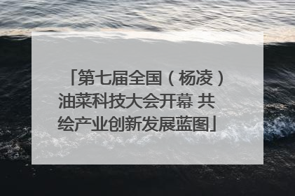 第七届全国（杨凌）油菜科技大会开幕 共绘产业创新发展蓝图