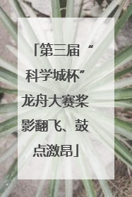 第三届“科学城杯”龙舟大赛桨影翻飞、鼓点激昂