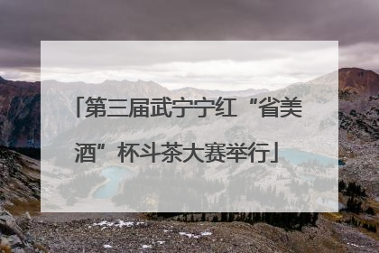 第三届武宁宁红“省美酒”杯斗茶大赛举行