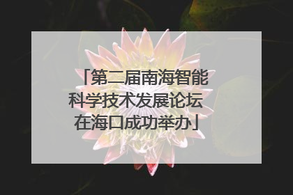 第二届南海智能科学技术发展论坛在海口成功举办
