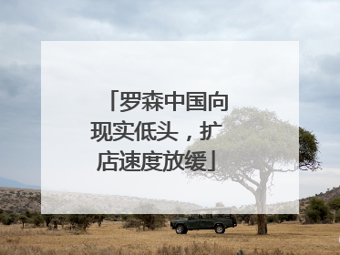 罗森中国向现实低头，扩店速度放缓