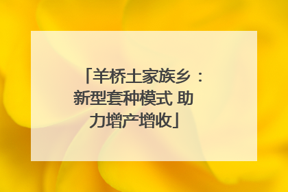 羊桥土家族乡：新型套种模式 助力增产增收