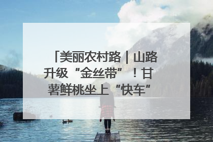 美丽农村路｜山路升级“金丝带”！甘薯鲜桃坐上“快车”，开去大市场